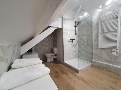 y baño con ducha y aseo. en Duplex 50 m2 au pied des planches en Trouville-sur-Mer