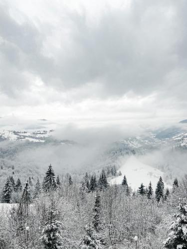 a black and white photo of a foggy valley with trees at Kamyanka in Mizhhirʼʼya