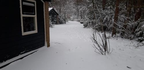 Afbeelding uit fotogalerij van Bospark De Schaapskooi in Epe