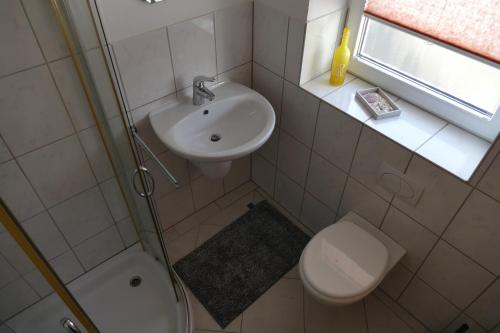 a small bathroom with a sink and a toilet at Aktiv-Ferienwohnung "Snow & Bike"- Zentral zwischen Winterberg und Willingen in Winterberg