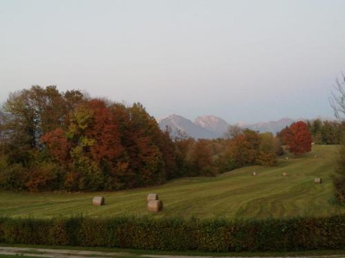 a field with hay bales in the grass with mountains at Fienile Chiaramada in Belluno