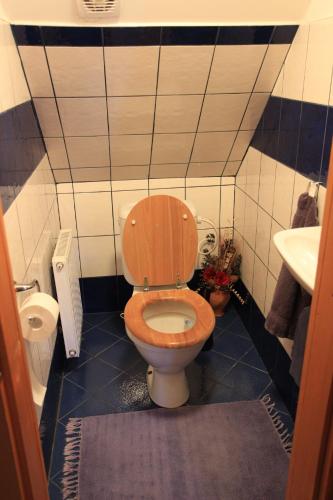 Koupelna v ubytování Ubytování Samotín