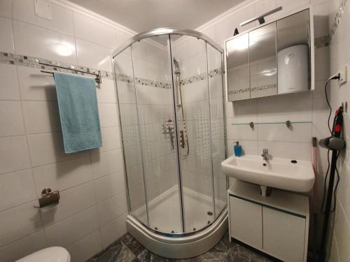 a bathroom with a shower and a sink at Apartment Golden Sun in Vir