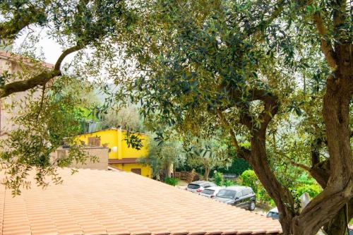 Jardín al aire libre en Villa Aurora Oasi Verde