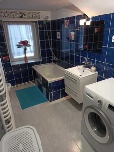 a bathroom with a washing machine and a sink at Magiczny Domek in Podgórzyn
