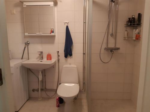 uma casa de banho com um WC, um lavatório e um chuveiro em Kotipaljakka em Kotila