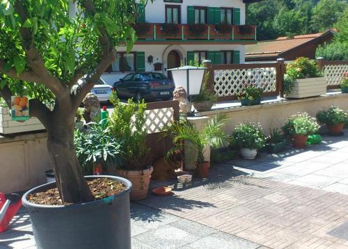 a group of potted plants in front of a house at Haus Neuhäusl inkl. Chiemgaukarte in Ruhpolding