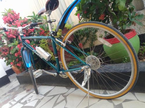 Una bicicleta azul estacionada frente a unas flores en New Kivulini Bed and Breakfast, en Dar es Salaam