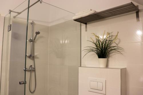 a bathroom with a shower with a plant on a counter at Apartamente Bucegi in Râşnov
