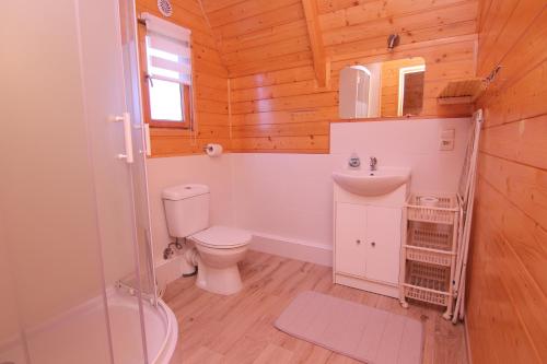 a bathroom with a toilet and a sink at Domki Letniskowe Słońce in Gąski