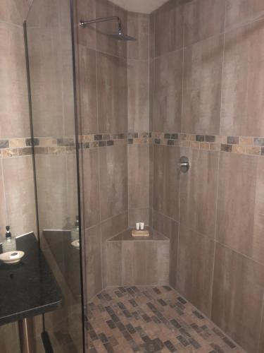 a bathroom with a shower with a toilet and a sink at Jock of the Bushveld in Barberton