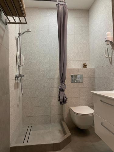 a bathroom with a shower with a toilet and a sink at Sweet home30 in Vilnius