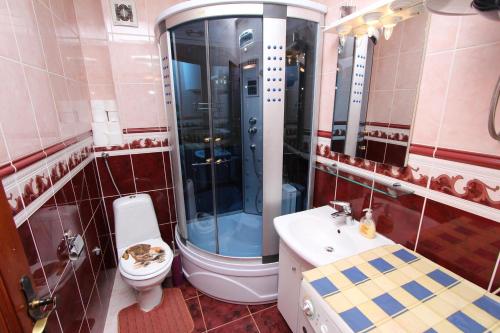 y baño con ducha, aseo y lavamanos. en Apartment Ilinović, en Rovinj
