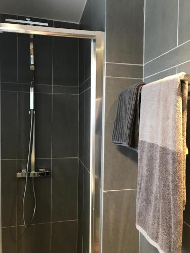 W łazience znajduje się prysznic ze szklanymi drzwiami. w obiekcie Lucaya w mieście Koksijde