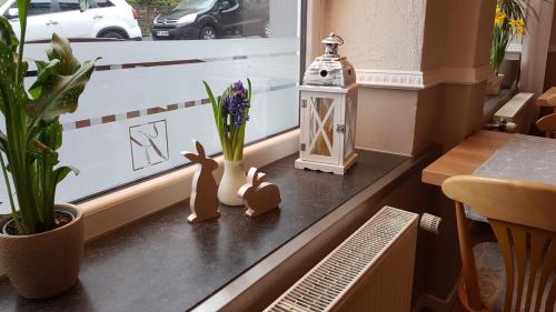 ein Fensterbrett mit einer Pflanze und Figuren darauf in der Unterkunft Aparthotel am Kurpark in Bad Neuenahr-Ahrweiler