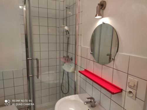 a bathroom with a shower and a sink and a mirror at Le Crotoy Plage Baie de somme Appt l'Aigrette in Le Crotoy