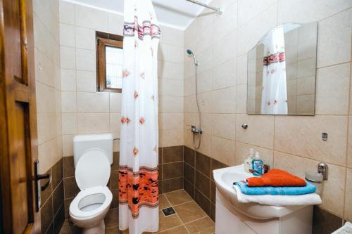 a bathroom with a toilet and a sink and a mirror at Casa Roland in Sovata