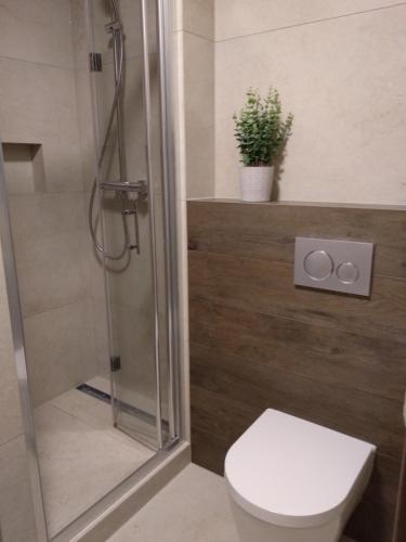 a bathroom with a toilet and a glass shower at Apartament Zoom in Wrocław