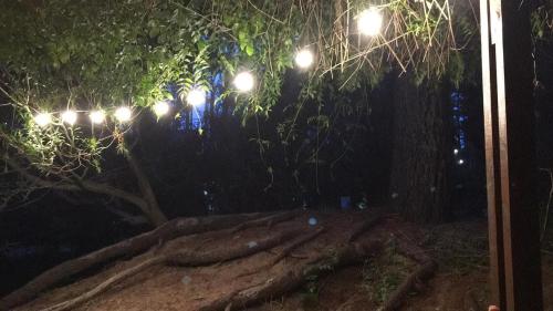 un árbol con luces encendidas por la noche en casa piano en Balneario Mar Azul