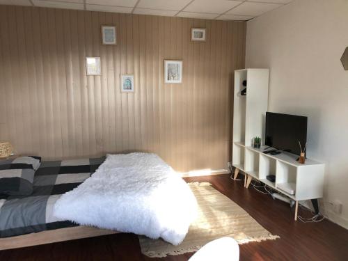 a bedroom with a bed and a desk and a television at Le printemps de mélusine in Niort