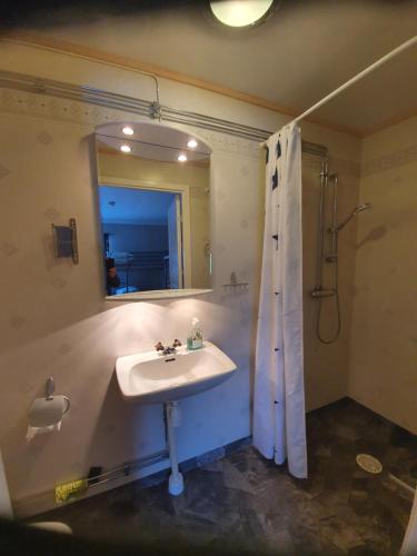 オーシャにあるBäcka Holiday Homeの洗面台、鏡、シャワー付きのバスルーム