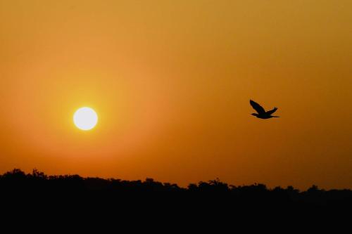 Gallery image of Laid Back Waters in Vagator