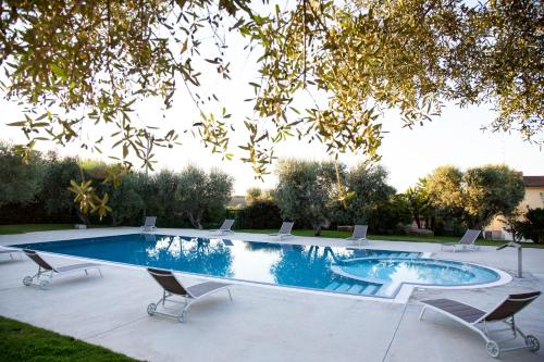uma piscina com espreguiçadeiras em redor em Agriturismo Tenuta Lagala em Venosa