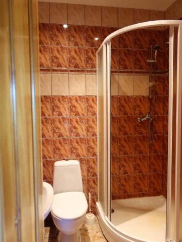 y baño con aseo y ducha. en Dižpriedes, en Kandava