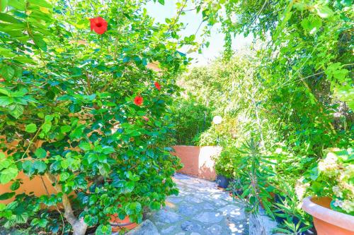 a garden with a red flower on a tree at Mare Vista Ariadni in Nisakion