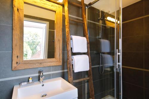 W łazience znajduje się umywalka, lustro i prysznic. w obiekcie Le Jardin Découverte w mieście Conches-en-Ouche