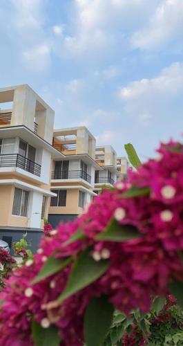 a bunch of pink flowers in front of a building at ROYAL MEADOWS - IGATPURI Bungalow C in Igatpuri