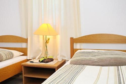 Postel nebo postele na pokoji v ubytování Apartment in Vir with balcony, air conditioning, Wi-Fi (4595-1)