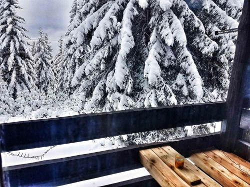 Blick auf einen schneebedeckten Wald aus einem Fenster in der Unterkunft Apartma Rogla Gaber 63 in Zreče