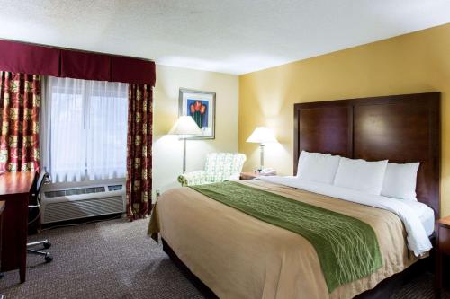 een hotelkamer met een groot bed en een raam bij Comfort Inn Columbia-Bush River in Columbia
