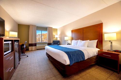 um quarto de hotel com uma cama grande e uma televisão em Comfort Inn Near Quantico Main Gate North em Dumfries