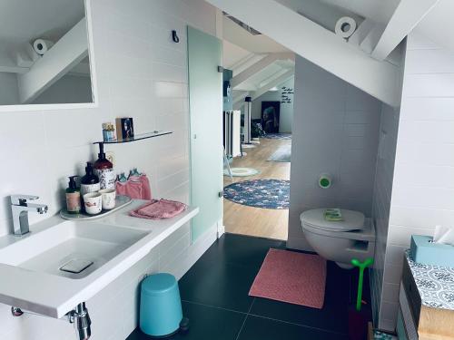 a bathroom with a sink and a toilet at B&B Huize Van Damme in Nieuwpoort