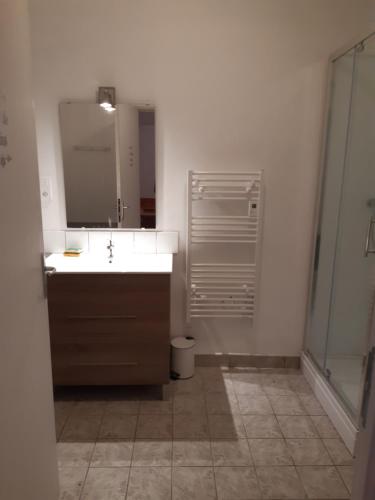 La salle de bains est pourvue d'un lavabo, d'un miroir et d'une douche. dans l'établissement Le Cezembre gîte la Taniere, à Moidrey