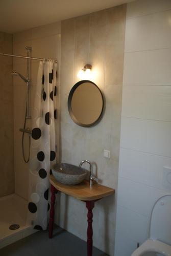 a bathroom with a sink and a mirror and a shower at Vakantieboerderij 't Zand - Appartement in Heeswijk-Dinther