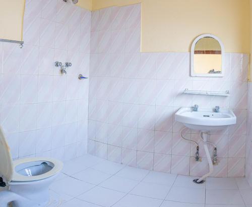 a bathroom with a sink and a toilet at Hotel Plaza Nepal in Pokhara