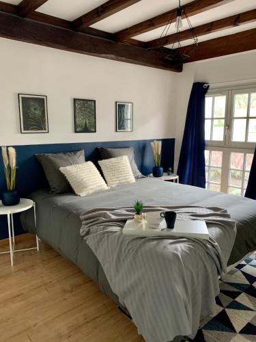- une chambre avec un grand lit aux murs bleus dans l'établissement Appartement les Bleuets - Centre ville de Saumur, à Saumur