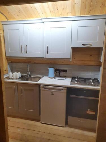 a kitchen with white cabinets and a sink and a stove at Log cabin on the lake - Sleeps 4 & jacuzzi in Portroe