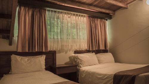 a bedroom with two beds and a window at Termales Santa Rosa De Cabal in Santa Rosa de Cabal