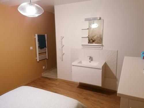 a bathroom with a white sink and a mirror at Le petit Vaudois in Saint-Parres-lès-Vaudes