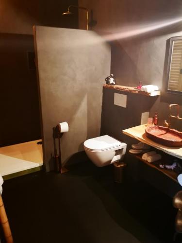 a bathroom with a white toilet and a sink at Casa Leone near Bruges with jacuzzi & parking in Ruddervoorde