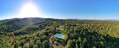 an aerial view of a house in the middle of a forest at Tenuta Seripa in Sassetta