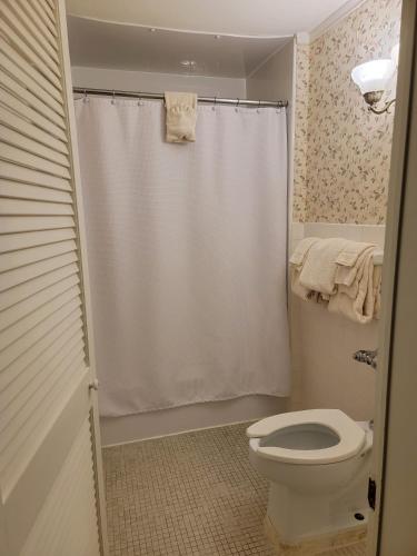 a bathroom with a toilet and a shower at Lowell Inn in Stillwater