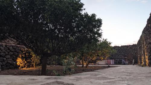 a street with trees and a stone wall at Horizon Pantelleria in Pantelleria