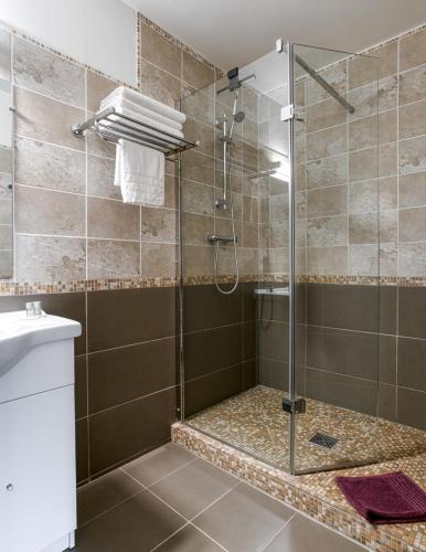 une douche avec une porte vitrée dans une salle de bain dans l'établissement Brasseurs Du Pont - Microbrasserie avec chambres, à Siorac-en-Périgord