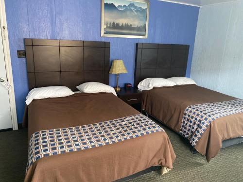 艾爾金港的住宿－All Seasons Motel，两张位于酒店客房的床,拥有蓝色的墙壁