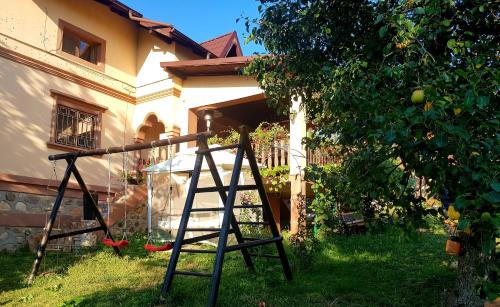 a ladder in a yard in front of a house at Vila Magnolia in Curtea de Argeş